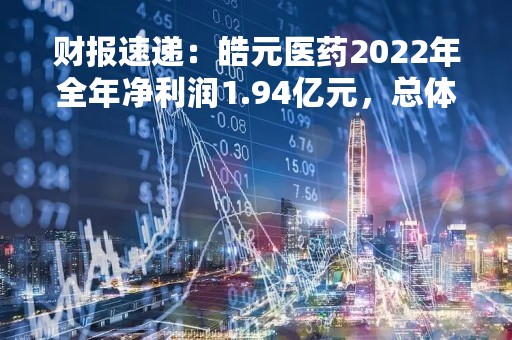 财报速递：皓元医药2022年全年净利润1.94亿元，总体财务状况一般