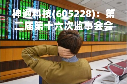 神通科技(605228)：第二届第十六次监事会会议决议，审议关于2022年度监事会工作报告的议案等议案