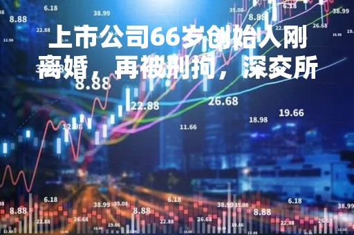 上市公司66岁创始人刚离婚，再被刑拘，深交所7问！儿子接班才一年多