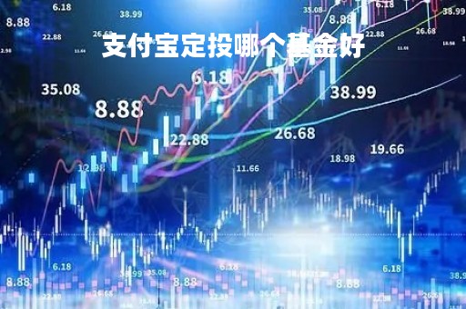 支付宝定投哪个基金好「支付宝买定投基金买排行榜靠前的怎么样,?」