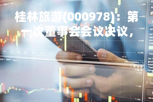 桂林旅游(000978)：第一次董事会会议决议，审议关于选举公司第七届董事会董事长的议案等议案