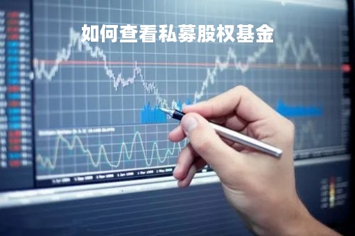 如何查看私募股权基金「如何查看私募股权基金收益」