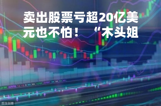 卖出股票亏超20亿美元也不怕！ “木头姐” 伍德称可以用来抵税