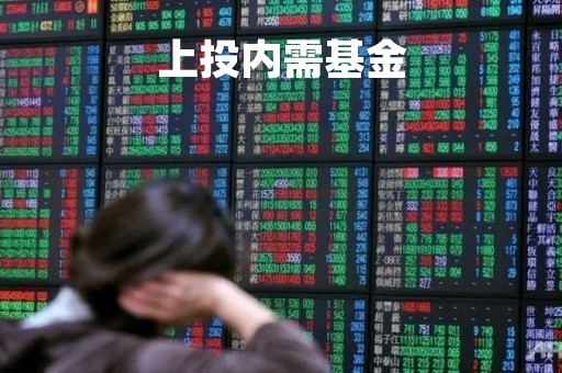 上投内需基金