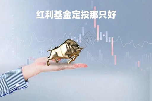 红利基金定投那只好「定投红利指数基金好么」