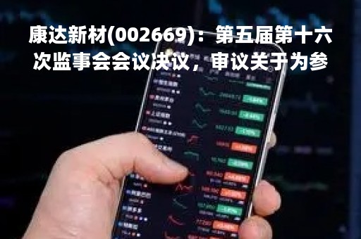 康达新材(002669)：第五届第十六次监事会会议决议，审议关于为参股公司申请银行贷款提供担保暨关联交易的议案