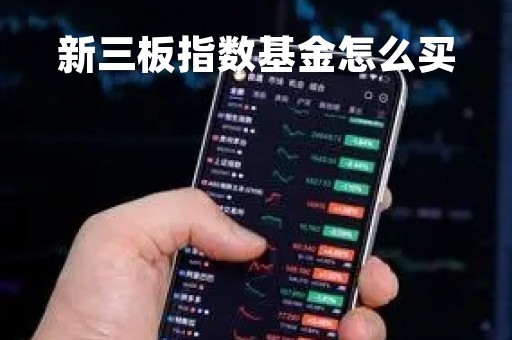 新三板指数基金怎么买「新三板基金产品有哪些代码」
