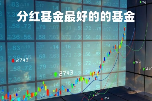 分红基金最好的的基金「分红型基金排名」
