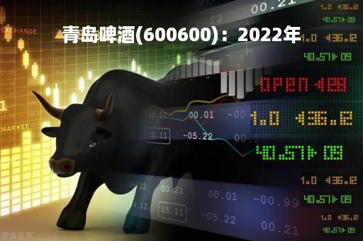 青岛啤酒(600600)：2022年