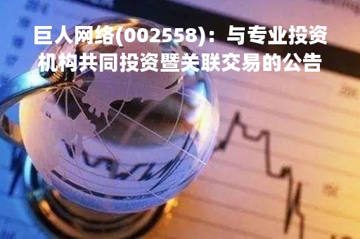巨人网络(002558)：与专业投资机构共同投资暨关联交易的公告