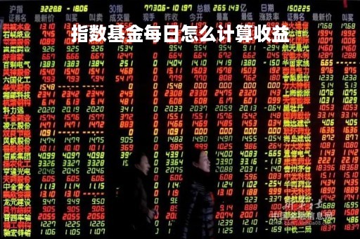 指数基金每日怎么计算收益「指数基金收益怎么算举例说明」