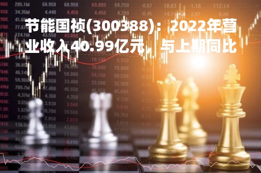 节能国祯(300388)：2022年营业收入40.99亿元，与上期同比减少8.44%