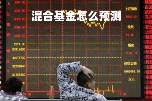 混合基金怎么预测「混合型基金怎样看估值」