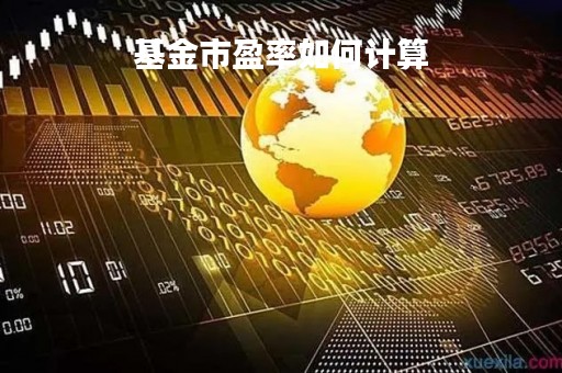 基金市盈率如何计算「基金市盈率如何计算公式」