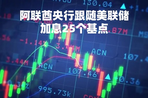 阿联酋央行跟随美联储加息25个基点