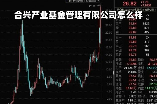 合兴产业基金管理有限公司怎么样「合兴产业基金管理有限公司怎么样啊」
