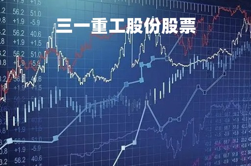三一重工股份股票「三一重工」