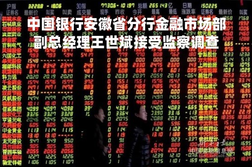 中国银行安徽省分行金融市场部副总经理王世斌接受监察调查