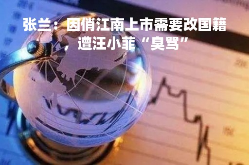 张兰：因俏江南上市需要改国籍，遭汪小菲“臭骂”