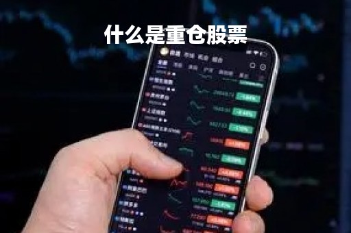 什么是重仓股票「什么是重仓股票基金」