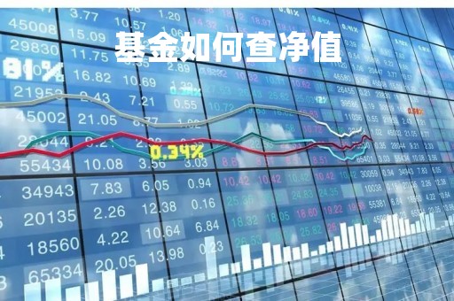 基金如何查净值「基金如何查净值多少」