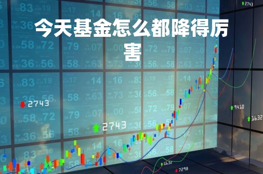 今天基金怎么都降得厉害「今天基金为啥暴跌」