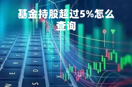 基金持股超过5%怎么查询「基金持股超过5%的股票」
