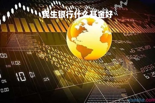 民生银行什么基金好「民生银行新基金」