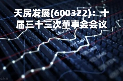天房发展(600322)：十届三十三次董事会会议决议，审议关于取消为控股股东提供担保的议案