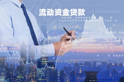 流动资金贷款