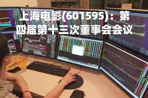 上海电影(601595)：第四届第十三次董事会会议决议，审议《关于签署电影（望道）合作协议书及补充协议暨关联交易的议案》等议案