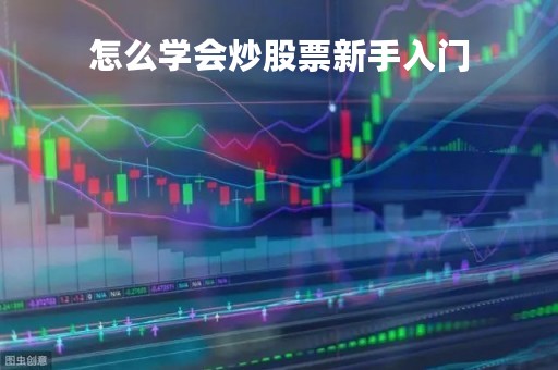 怎么学会炒股票新手入门「新手怎样学炒股票」