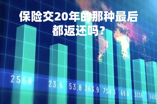 保险交20年的那种最后都返还吗？