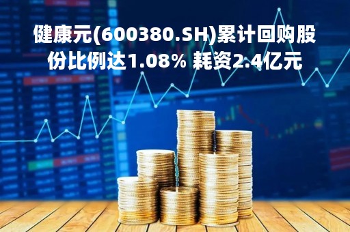 健康元(600380.SH)累计回购股份比例达1.08% 耗资2.4亿元