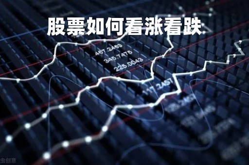 股票如何看涨看跌「股票看涨看跌投票有啥用」