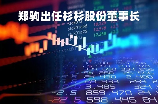 郑驹出任杉杉股份董事长