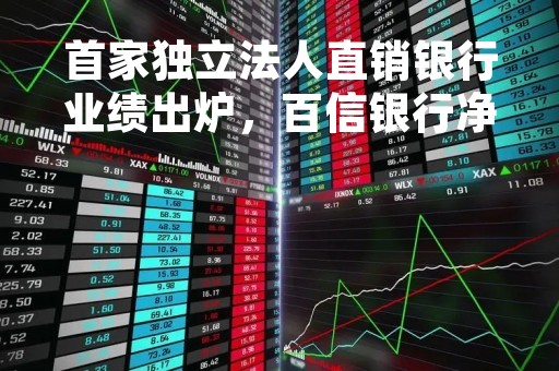 首家独立法人直销银行业绩出炉，百信银行净利润同比增长149%
