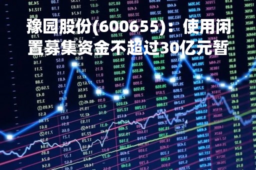 豫园股份(600655)：使用闲置募集资金不超过30亿元暂时补充流动资金