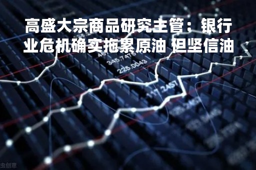 高盛大宗商品研究主管：银行业危机确实拖累原油 但坚信油价仍将走高