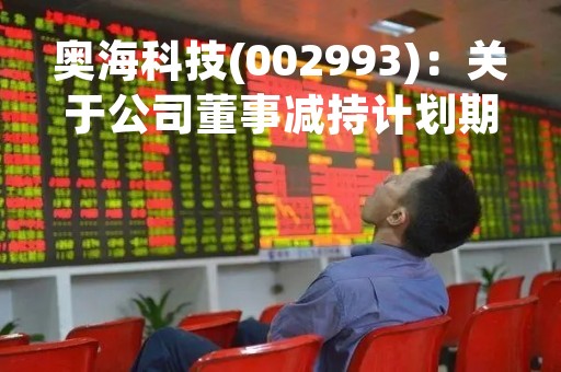 奥海科技(002993)：关于公司董事减持计划期限届满的公告