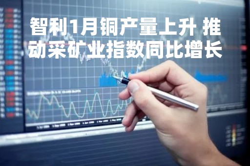智利1月铜产量上升 推动采矿业指数同比增长2.9%