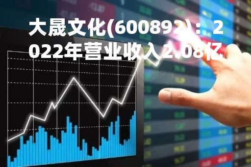 大晟文化(600892)：2022年营业收入2.08亿元，与上期同比减少2.86%