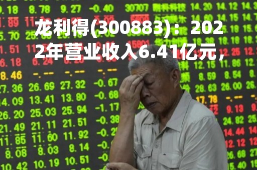龙利得(300883)：2022年营业收入6.41亿元，与上期同比减少15.19%