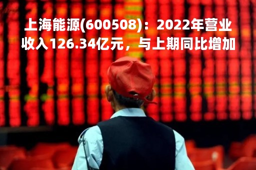 上海能源(600508)：2022年营业收入126.34亿元，与上期同比增加24.39%