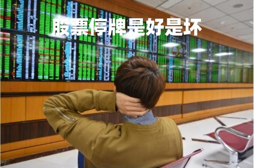 股票停牌是好是坏「st股票为什么不能买入」