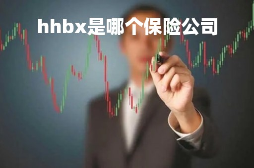 hhbx是哪个保险公司