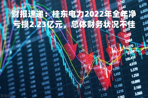 财报速递：桂东电力2022年全年净亏损2.23亿元，总体财务状况不佳