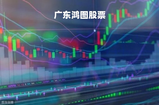 广东鸿图股票「广东鸿图股票为何这么低」