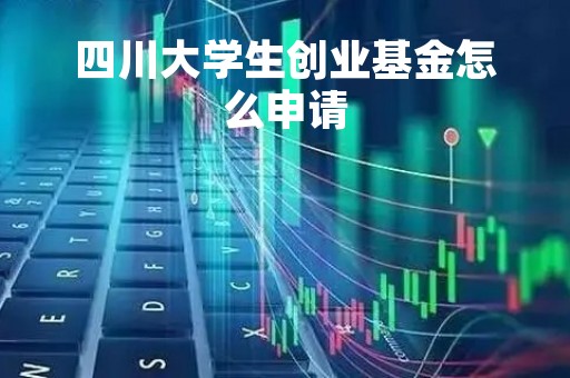 四川大学生创业基金怎么申请「四川省大学生创业补贴申请流程」