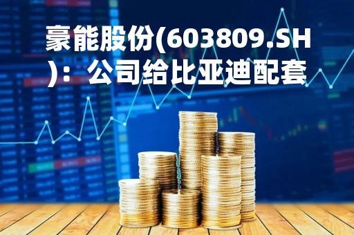 豪能股份(603809.SH)：公司给比亚迪配套差速器系列产品